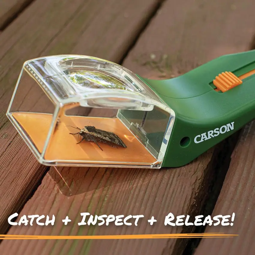 Carson Optics Bug View Bug Catcher - Image 2